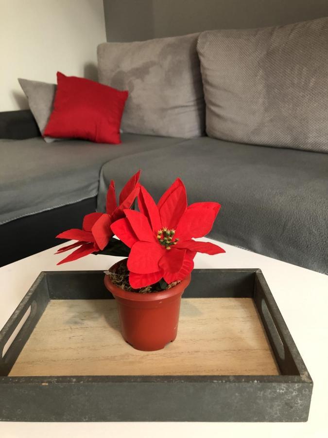 Charming Rijeka City Center Apartment Renee Екстер'єр фото